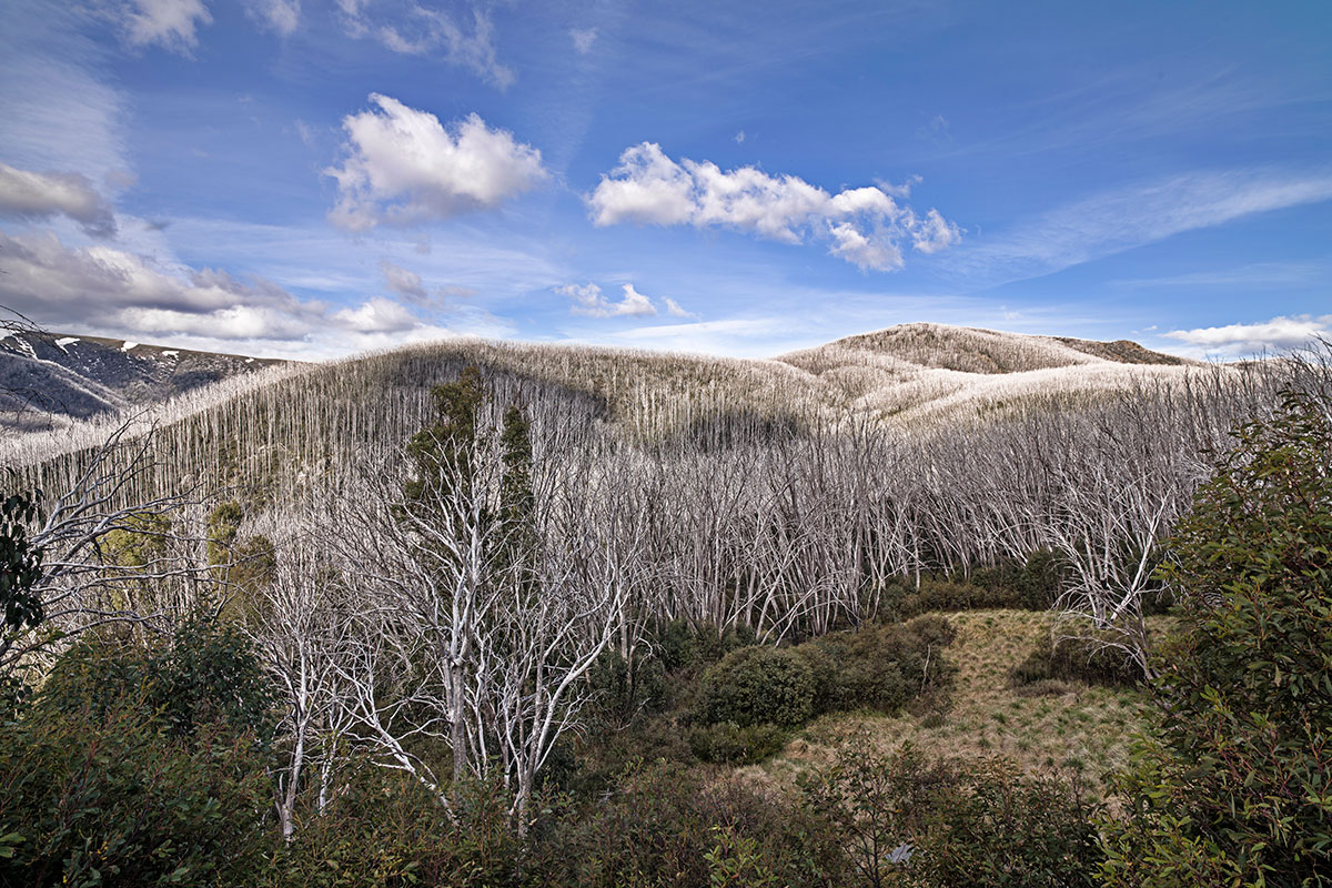 Falls-Creek-in-the-Warmer-Months-10