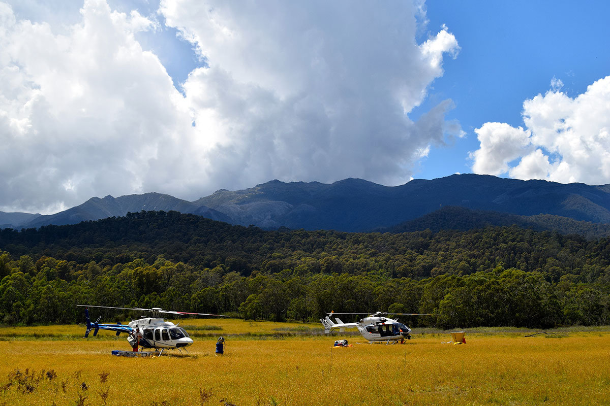 Helicopters parked at the base of mountains
